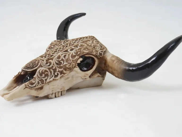 MCW Deko Schädel C15 Longhorn