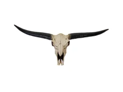 MCW Deko Schädel 132cm A14 Stier Naturfarben