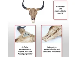 MCW Deko Schädel Longhorn