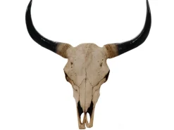 MCW Deko Schädel Longhorn Natur