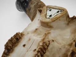 MCW Deko Schädel Longhorn Natur