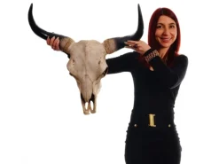 MCW Deko Schädel Longhorn Natur