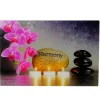MCW Glasbild T117 40x60cm Harmony