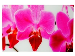 MCW Glasbild T117 40x60cm Orchidee