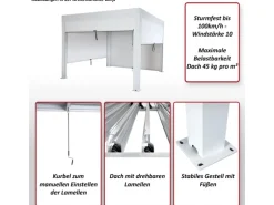 MCW Pergola L46 mit Seitenwand Anthrazit 3x3m