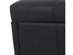 MCW Sitzbank mit Aufbewahrung Arezzo XXL Schwarz Matt