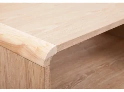 MeGusta FernsehTisch Grau Rechteckig (BxHxT) 120x45x60 cm TV Tisch Arturo