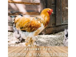 MeineHennen HENNEN VITAL EXZELLENT 15 Kg Premium Hühnerfutter und Wachtelfutter Körnerfutter Geflügelfutter Hennenfutter Alleinfutter für Hühner