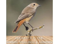 MeinWildvogel WILDVOGEL VITAL BASIC 15 Kg Vogelfutter Streufutter für Vögel Ganzjahresfutter und Perfekt für Kleine und Große Gartenvögel