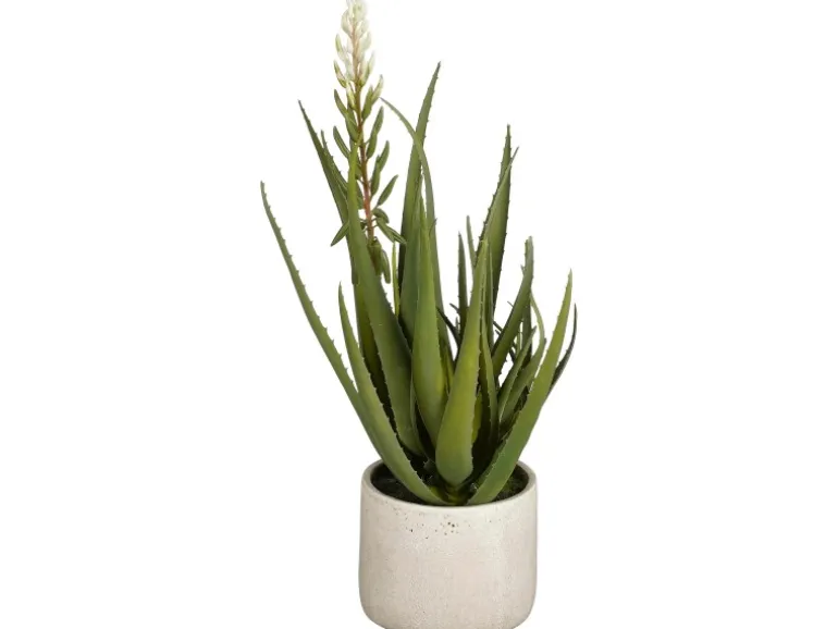 Mica Decorations Aloe Vera Grün Höhe 58 cm Ø 38 cm