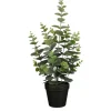 Mica Decorations Eucalyptus im Topf Grün 53 Ø 23 cm