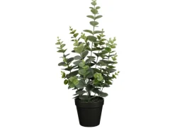 Mica Decorations Eucalyptus im Topf Grün 53 Ø 23 cm