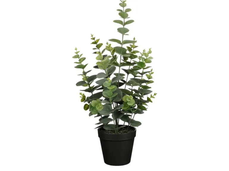 Mica Decorations Eucalyptus im Topf Grün 53 Ø 23 cm