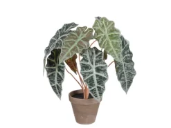 Mica Decorations Kunstpflanze Alocasia im Blumentopf Stan Ø 36 cm x 44 cm Grün