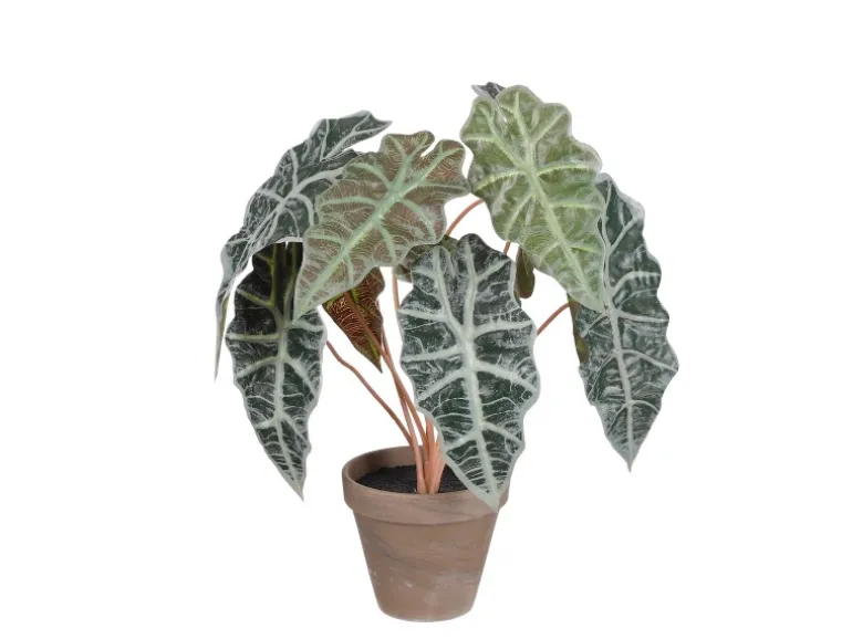 Mica Decorations Kunstpflanze Alocasia im Blumentopf Stan Ø 36 cm x 44 cm Grün