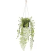Mica Decorations Kunstpflanze Adiantum Hängend in Topf 47 cm x 20 cm Grün