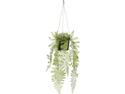 Mica Decorations Kunstpflanze Adiantum Hängend in Topf 47 cm x 20 cm Grün