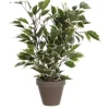 Mica Decorations Kunstpflanze Ficus Natasja in Topf Grün-Weiß H 40 cm, Ø: 30 cm