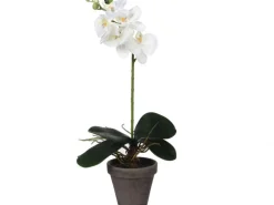 Mica Decorations Kunstpflanze Phalaenopsis im Topf Ø 13 cm x 48 cm Weiß
