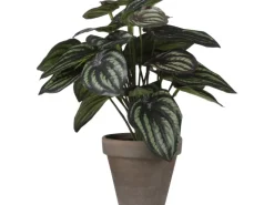 Mica Decorations Kunstpflanze Peperomia Blumentopf Stan Ø 23 x 24 cm Dunkelgrün