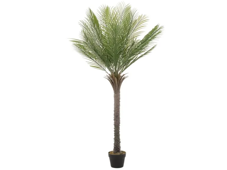 ML-Design Künstliche Palme 150 cm Groß Tropische Kunstpalme im Topf