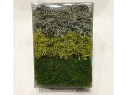 Moosmix Grün-Weiß