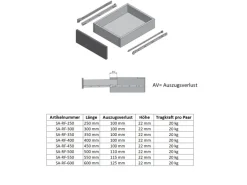 MS Beschläge Rollenführung Weiss 250 mm Schubaldenschiene Auszug