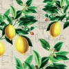 Papierservietten Zitronenzweig 16,5 cm x 16,5 cm 20 Stück Grün-Gelb FSC®