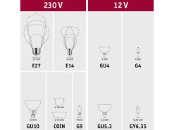 Paulmann LED-Kerze Filament Plug & Shine 24 V 2 W 3000 K Dimmbar Klar