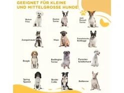 PawHut Absperrgitter Verstellbar Klappbar 155 x 1 5 x 76 cm