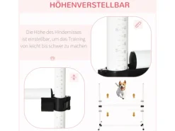 PawHut Agility Hürdenset
