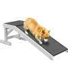 PawHut Haustierrampe mit Rutschfestem Teppich 125 x 40 x 35,5cm