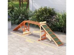 PawHut Hunde Agility Steg Tannenholz Orange 325L x 55B x 69H cm
