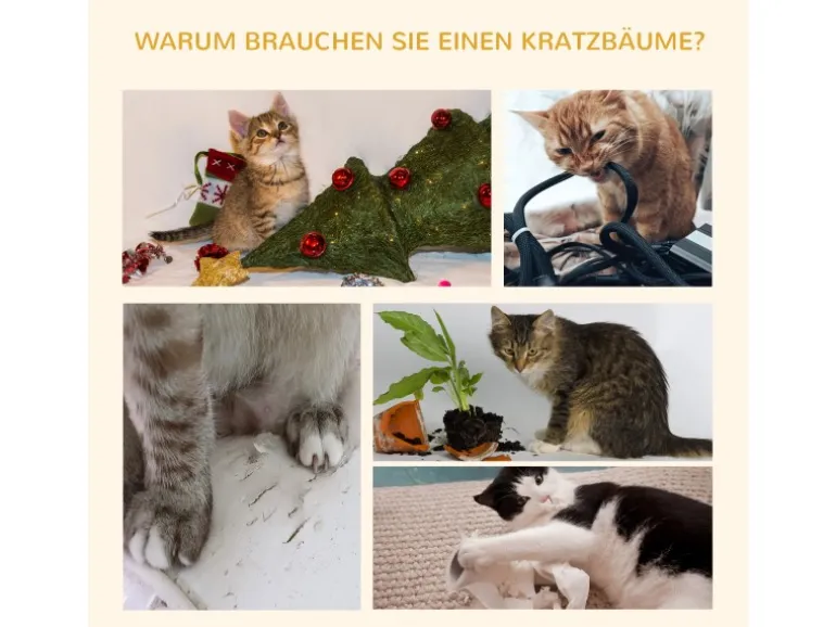 PawHut Katzenkratzbaum 240-260 cm Deckenhoch mit Sisalseil