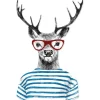 Pro Art Bild Cut-Out Hirsch mit Brille 50 cm x 50 cm