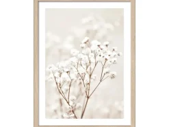 Pro Art Bild Framed Art Dried Fiber in the wind III 40 cm x 30 cm