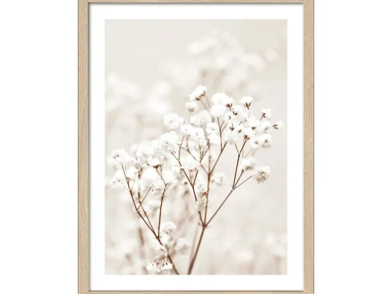 Pro Art Bild Framed Art Dried Fiber in the wind III 40 cm x 30 cm