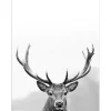 Pro Art Dekopanel Grey Deer Head III 40 cm x 30 cm