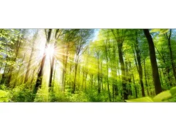 Pro-Art Glasbild Towards the Sun 50 cm x 125 cm x 1,4 cm