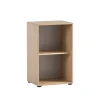 PROREGAL Aktenregal Swan Small HxBxT 84 x 51 x 41 cm 2 Fächern Eiche & Weiß