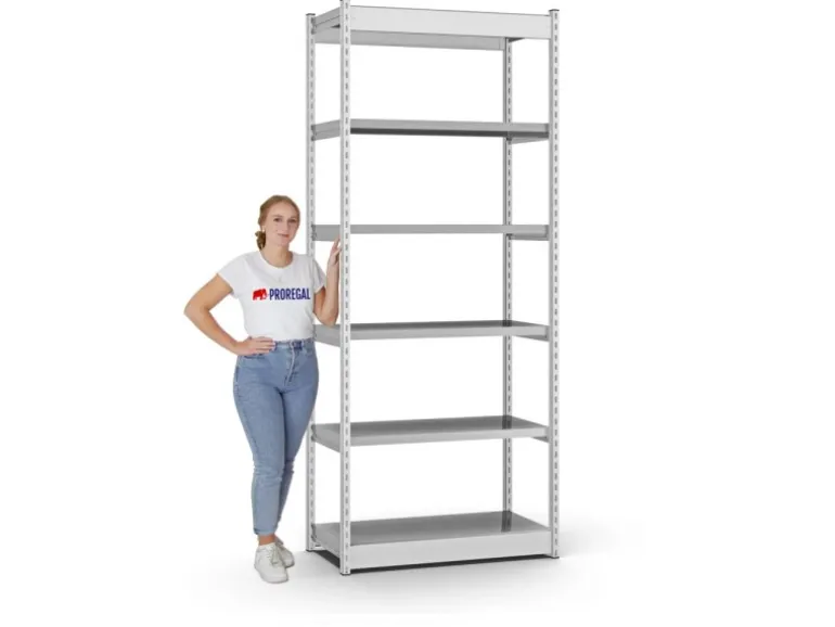 PROREGAL Fachbodenregal Stecksystem Vierkant-Profil Grundregal HxBxT 250 x 102,5 x 50 cm 6 Ebenen Einseitige Bauart Fachlast 200 kg Lichtgrau