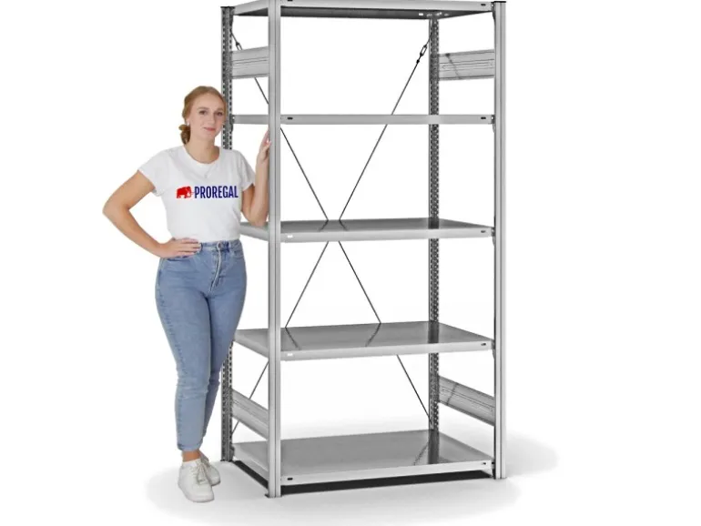 PROREGAL Fachbodenregal Stecksystem T-Profil Medium-Duty Grundregal HxBxT 200 x 100 x 60 cm 5 Ebenen Fachlast 240 kg Einseitig Nutzbar Verzinkt