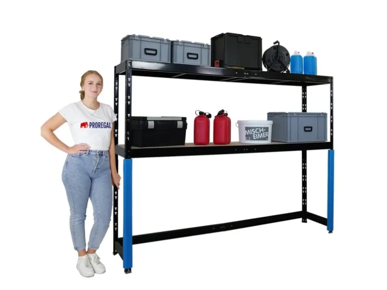 PROREGAL Garagenregal HERCULES Platzsparend Unterfahrbar HxBxT 180x240x50cm 2 Lagerebenen Fachlast 300kg Schwarz Lagerregal Schwerlastregal