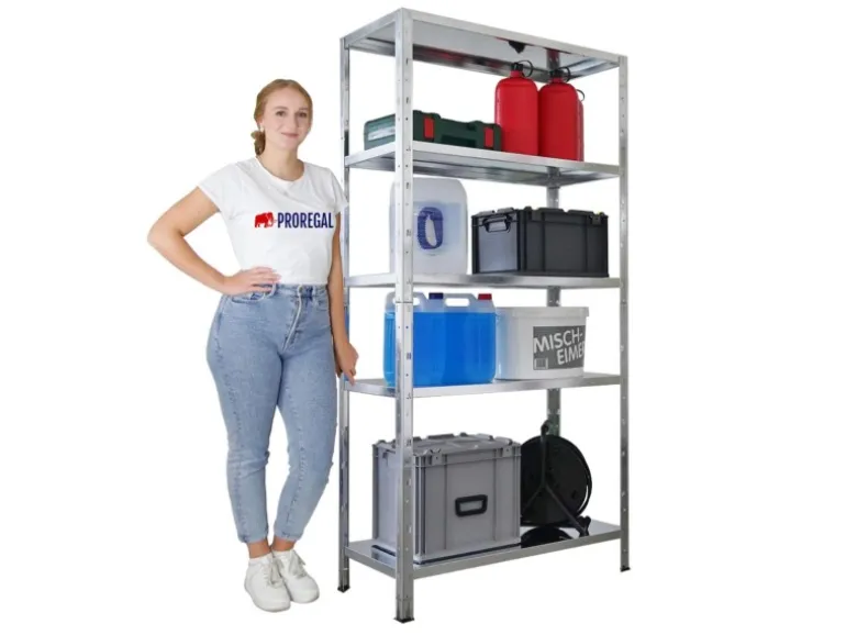 PROREGAL Mega Deal 2x Schwerlastregal Ares HxBxT 180x90x40cm Fachlast 125 kg Verzinkt