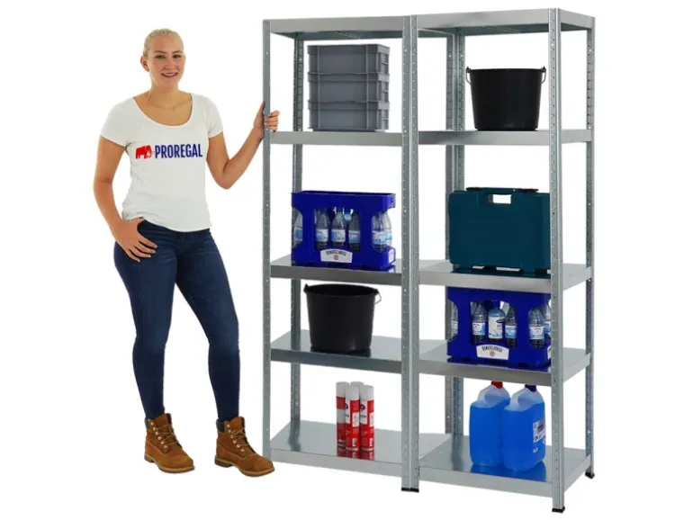PROREGAL Mega Deal 2x Schwerlastregal Steel Eagle HxBxT 180 x 60 x 40 cm Fachlast 130 kg Verzinkt