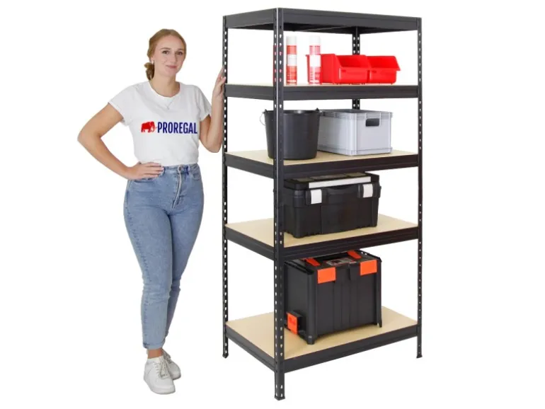 PROREGAL Schwerlastregal Rivet HxBxT 180 x 90 x 60 cm Fachlast 250 kg Innovatives Stecksystem Schwarz