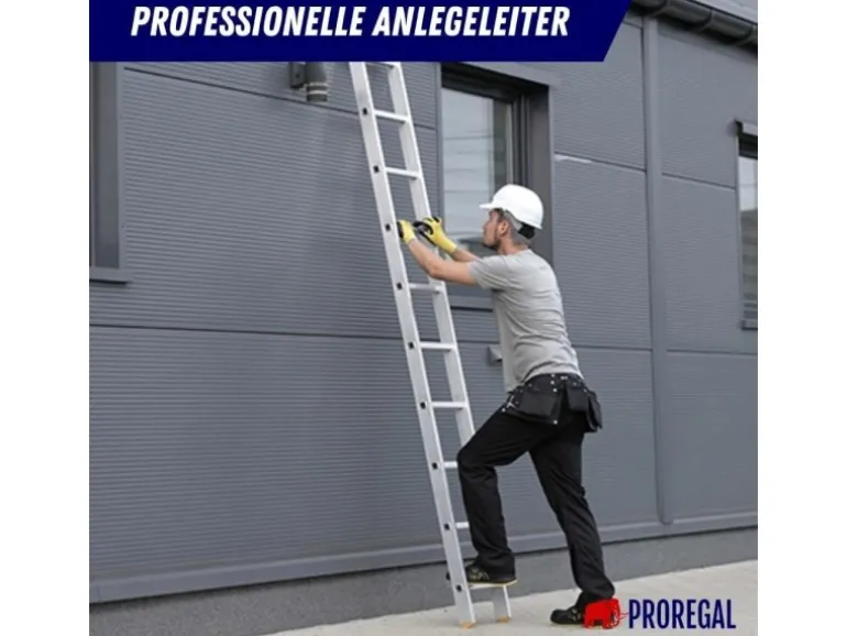 PROREGAL Sprossen-Anlegeleiter Economy Plus Ohne Traverse 5 Sprossen Arbeitshöhe 2,43 m Traglast 150 kg