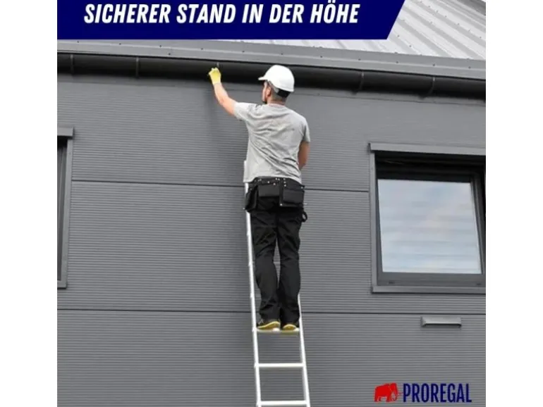 PROREGAL Sprossen-Anlegeleiter Economy Plus Ohne Traverse 5 Sprossen Arbeitshöhe 2,43 m Traglast 150 kg