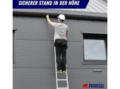 PROREGAL Sprossen-Anlegeleiter Economy Plus Ohne Traverse 9 Sprossen Arbeitshöhe 3,46 m Traglast 150 kg