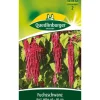 Quedlinburger Fuchsschwanz Rot